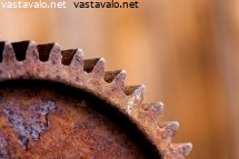 vanha-hammaspyora
