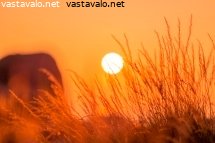 auringonlaskun-rantaa