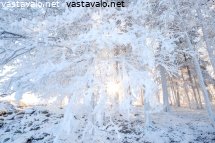 merisavuinen-pakkaspaiva