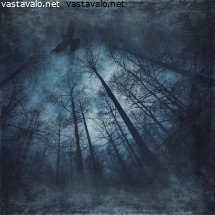 lento-synkassa-metsassa