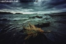 tuulinen-paiva