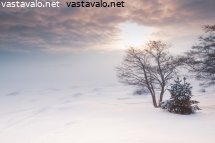 talvinen-merenranta