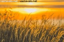 ilta-meren-rannalla