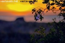 hamyisa-ilta