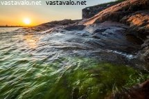 myohaisilta-rantakalliolla