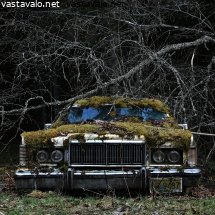 sammaloitunut-jenkkiauto