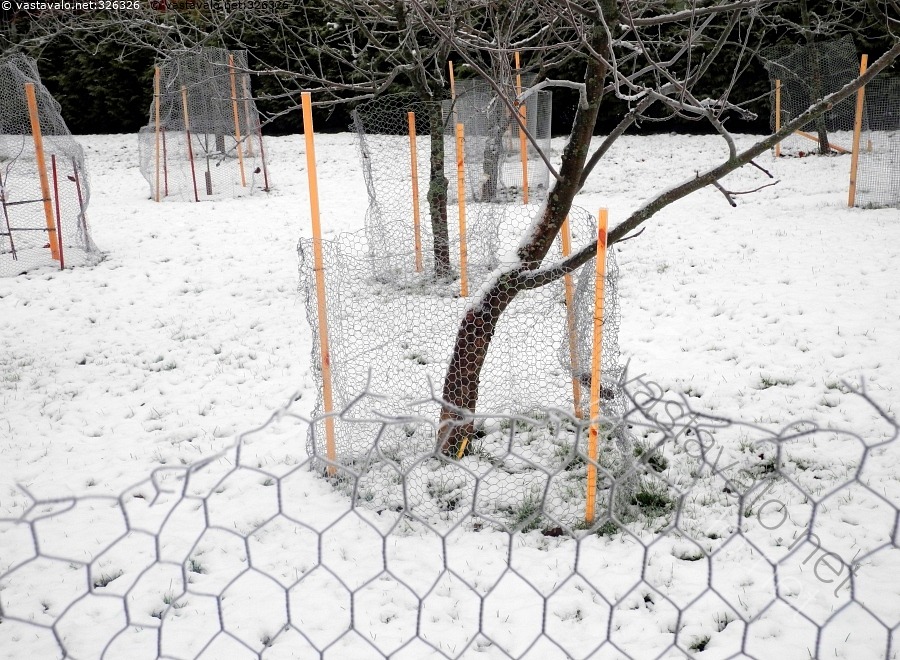 Aiheeseen liittyvä kuva