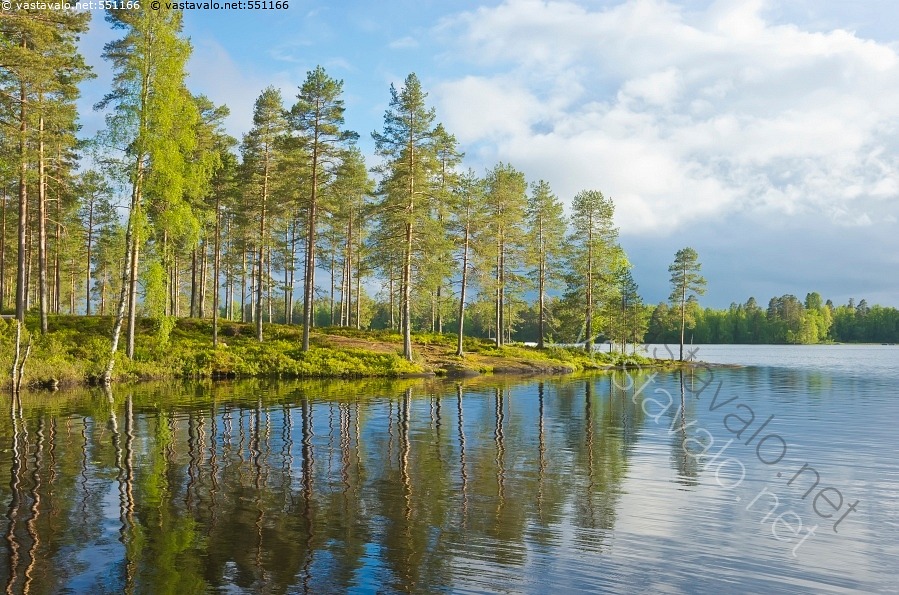 kuva-kes-inen-j-rvimaisema-j-rvimaisema-maisema-luonto-ranta-puut