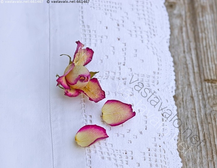 Kuva Ruusun tuoksuiset lakanat lakanapitsi lakanapitsit kuivunut