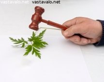 luonnon-hyvinvointi-vasaran-alla