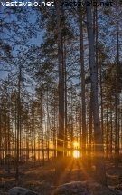 aamuauringon-kajo-talvella