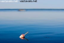 rauhallinen-kesaaamu-rannalla