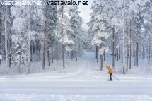 murtomaahiihtoa-talvimaisemassa