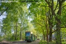 helsingin-kesaista-tunnelmaa