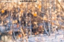 talven-valon-kimmellys