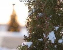 kaukana-haamottava-joulukuusi