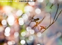 kevaan-pastelliset-savyt-luonnossa