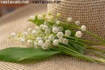 kesatunnelmaa