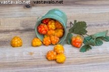pieni-sangollinen-lakkoja