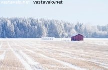 vahan-lunta-sankipellolla