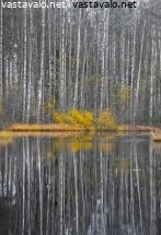harmaan-vuodenajan-variraita