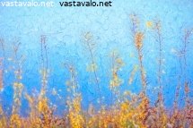 kauniita-horsmia