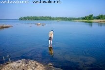 loytyyko-sinilevaa