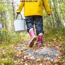 metsassa-marjassa-ja-sienessa