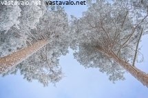 kuin-vanhat-ystavat-yhdessa