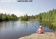 luonto-rauhoittaa