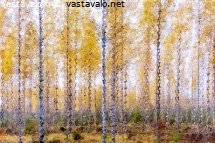 impressionistiset-syksyiset-puut