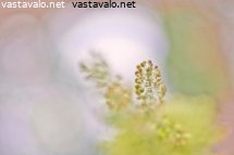unitunnelmaa