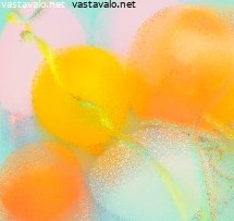 vappua