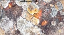 maanlaheista-varipintaa