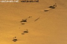 tahtoo-lomalle-lampimaan