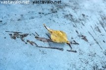 kuluneella-pinnalla-vetta-ja-syyslehti