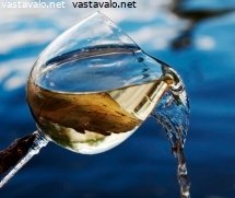 vesilasi