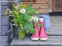 villasukkia-tarvitaan-suomessa-juhannuksenakin