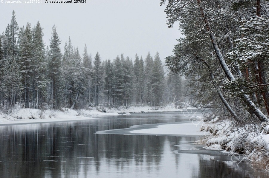 Kuva Joki marraskuussa Lappi Luttojoki Lutto joki suvanto talvi jää