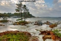 tuulinen-ranta