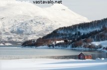 vuononpera