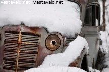 talvilevossa