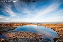 kalliolammikko