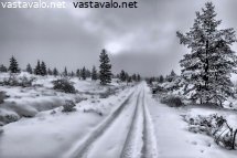 lapin-talvea