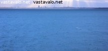 unelma-tallinnasta