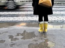 kevatsaa