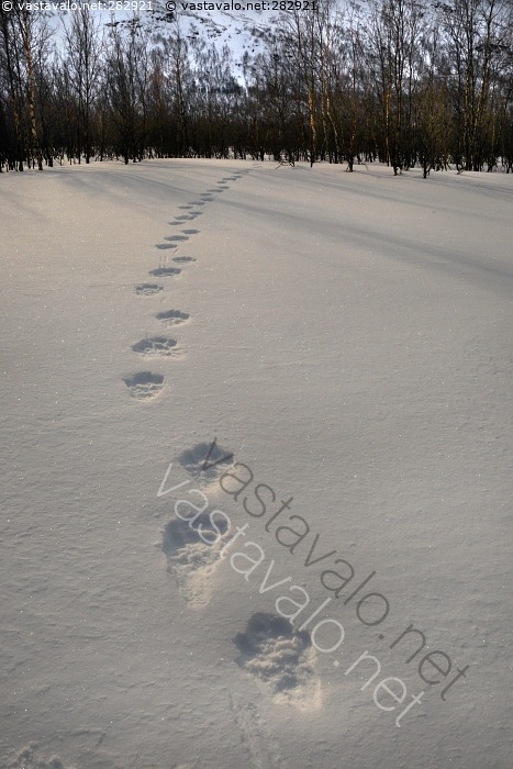 What Is The Meaning Of Back Office Work