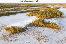 suomaisema