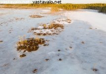 kevainen-suo