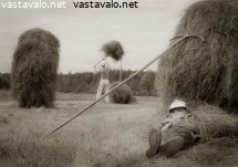 hullu-paljon-toita-tekee